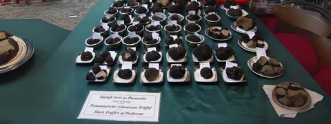 Display of black truffles highlighting the luxury of Terra Ross truffle business evolution