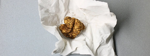 Golden truffle on white paper for professional truffle storage techniques guide