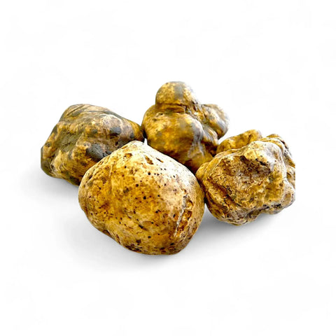 Golden truffle mushrooms from Terra Ross in the Fresh Truffles in Season collection