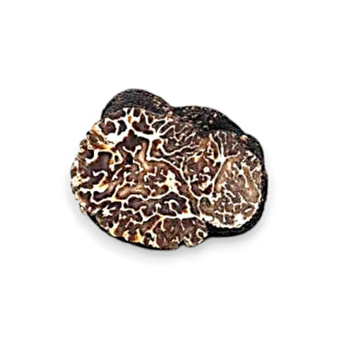 Black truffle slice with intricate white veining from Winter Black Truffle Tuber Brumale Collection