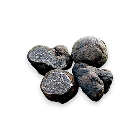 Collection of garlic truffle tuber macrosporum with dark earthy black truffle mushrooms