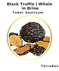 Black truffle in brine from Tubaross brand, Whole in Brine product