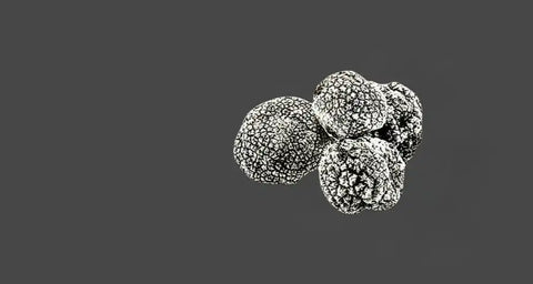 showing image of frozen truffle banner in front page