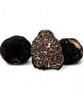 Fresh Bagnoli Truffle Tuber Mesentericum slice with earthy texture and white speckles