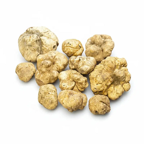Pale yellow Tuber Magnatum white truffle cluster with earthy texture and natural shape